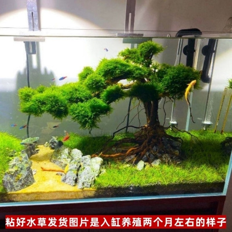 Profesyonel Çevre Dostu Ahşap  - Resin Art And Wood incelemesi ve fiyatı